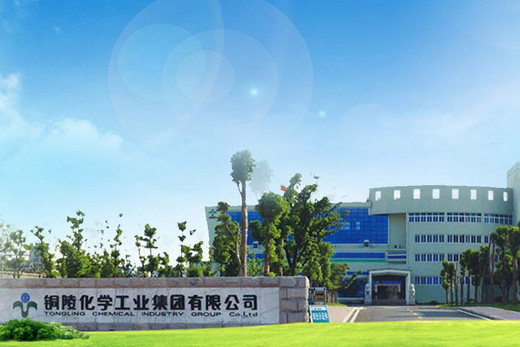 宜昌市生態(tài)環(huán)境局調(diào)研湖北六國磷石膏庫